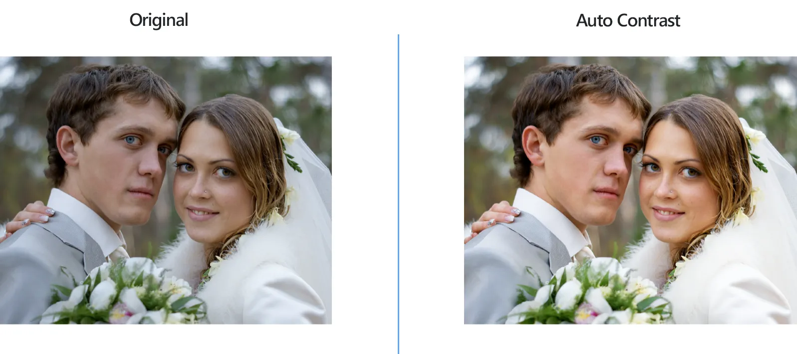 How to auto adjusts color contrast using reaConverter