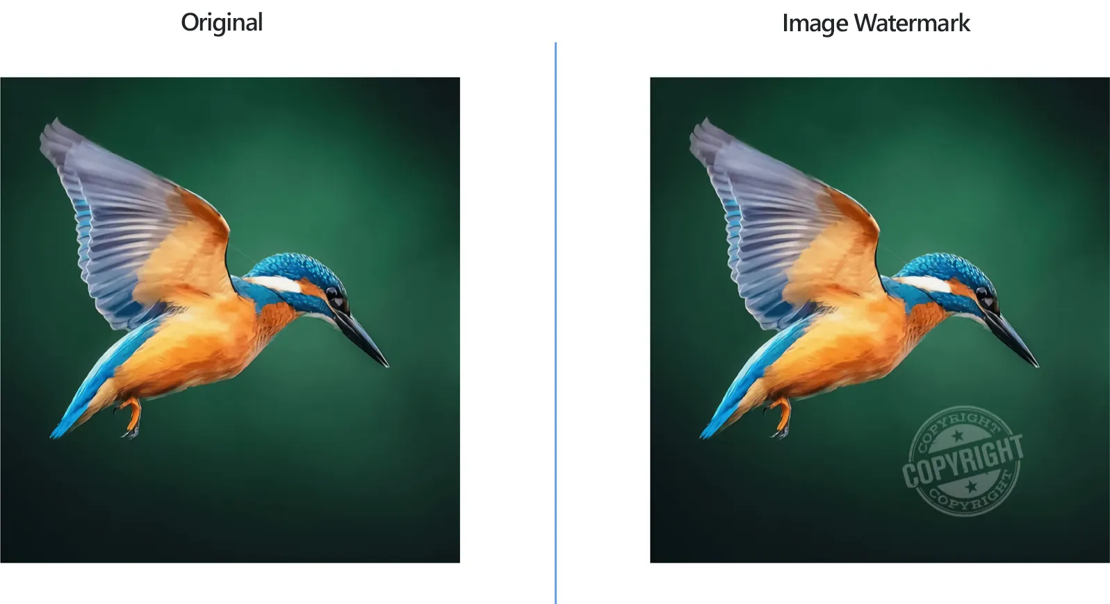 How to stamp multiple photos at once