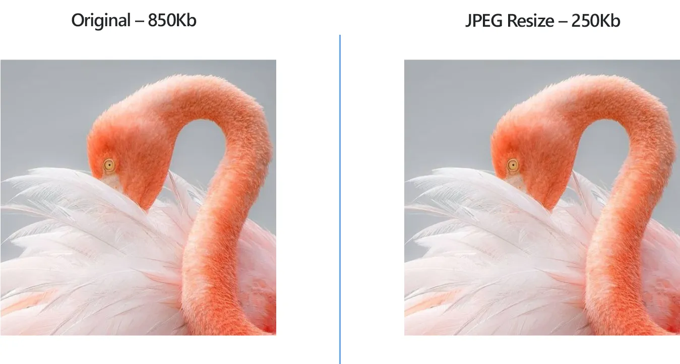 How to reduce JPEG file size with reaConverter